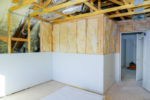 Best Eco-Friendly Insulation in Somers, WI