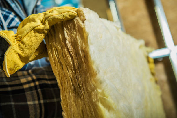 Best Cellulose Insulation in Somers, WI