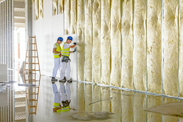 Best Eco-Friendly Insulation in Somers, WI